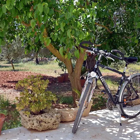 Farm stay Tenuta Del Morige