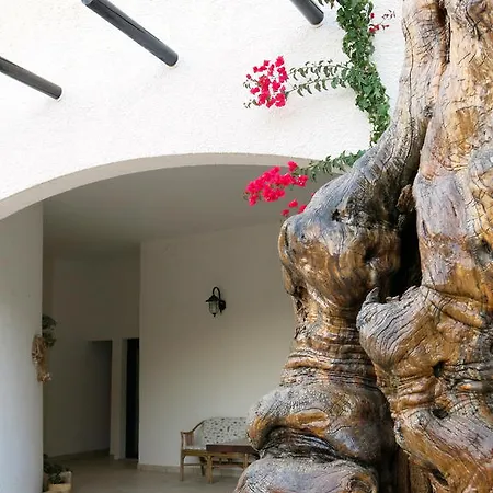 Farm stay Tenuta Del Morige